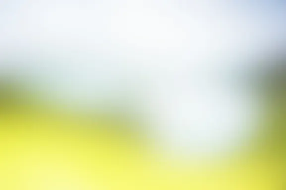 Mint Kaszinó Támogatás